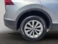 Volkswagen Tiguan 2.0 tdi Business 4motion 150cv dsg Gris - thumbnail 20