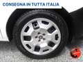 Fiat Doblo 1.6 MJT 105 CV(MAXI)FRIGO NO ATP-TRASPORTO FARMACI Bílá - thumbnail 26
