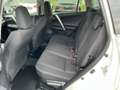 Toyota RAV 4 2,5 Hybrid Active 2WD Aut. Weiß - thumbnail 10