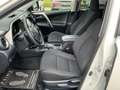 Toyota RAV 4 2,5 Hybrid Active 2WD Aut. Weiß - thumbnail 9