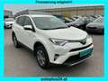 Toyota RAV 4 2,5 Hybrid Active 2WD Aut. Weiß - thumbnail 3