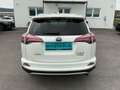 Toyota RAV 4 2,5 Hybrid Active 2WD Aut. Weiß - thumbnail 5