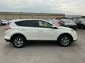 Toyota RAV 4 2,5 Hybrid Active 2WD Aut. Weiß - thumbnail 7