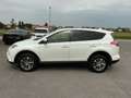Toyota RAV 4 2,5 Hybrid Active 2WD Aut. Weiß - thumbnail 8