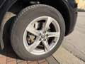 Audi Q5 35 2.0 tdi Business Design quattro 163cv s-tronic Nero - thumbnail 8