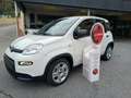 Fiat Panda 1.0 Hybrid - KM.ZERO - NO OBBLIGO FINANZIARIO Blanco - thumbnail 1
