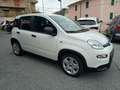 Fiat Panda 1.0 Hybrid - KM.ZERO - NO OBBLIGO FINANZIARIO Blanco - thumbnail 3