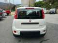 Fiat Panda 1.0 Hybrid - KM.ZERO - NO OBBLIGO FINANZIARIO Blanco - thumbnail 7