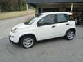 Fiat Panda 1.0 Hybrid - KM.ZERO - NO OBBLIGO FINANZIARIO Wit - thumbnail 5