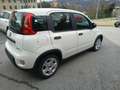 Fiat Panda 1.0 Hybrid - KM.ZERO - NO OBBLIGO FINANZIARIO Blanco - thumbnail 4