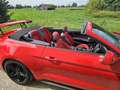 Ford Mustang Mustang Convertible 5.0 Ti-VCT V8 Supercharged Rot - thumbnail 3
