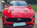 Ford Mustang Mustang Convertible 5.0 Ti-VCT V8 Supercharged Rot - thumbnail 1