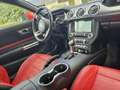 Ford Mustang Mustang Convertible 5.0 Ti-VCT V8 Supercharged Rot - thumbnail 5