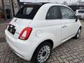 Fiat 500 C 1.0 GSE Hybrid Dolcevita Weiß - thumbnail 5