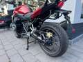 BMW R 1250 R 1.Hand Akrapovic ESD Vollausstattung Červená - thumbnail 6