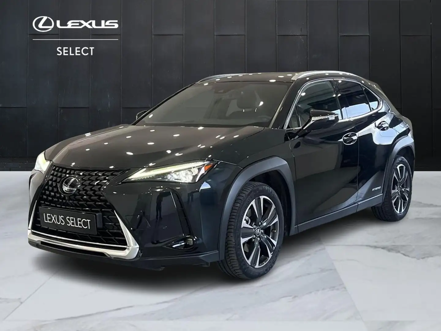 Lexus UX 250h UX 250h 2.0 Luxury cvt Nero - 1
