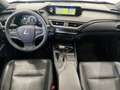 Lexus UX 250h UX 250h 2.0 Luxury cvt Nero - thumbnail 16