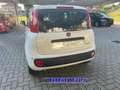 Fiat Panda PROMO FINANZ 1.0 HYBRID 5 POSTI +PACK CITY KM 0 Bianco - thumbnail 6