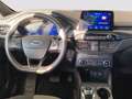 Ford Kuga 1.5 ecoblue ST-Line X 2wd 120cv auto Bleu - thumbnail 6