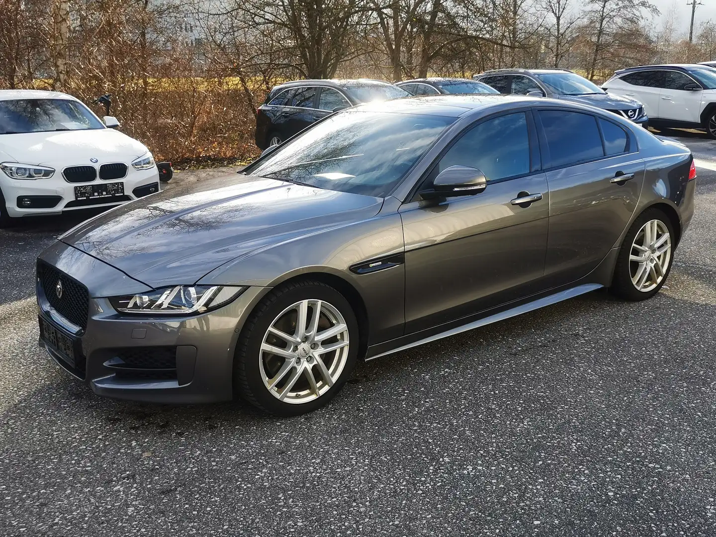 Jaguar XF Pure Grau - 1