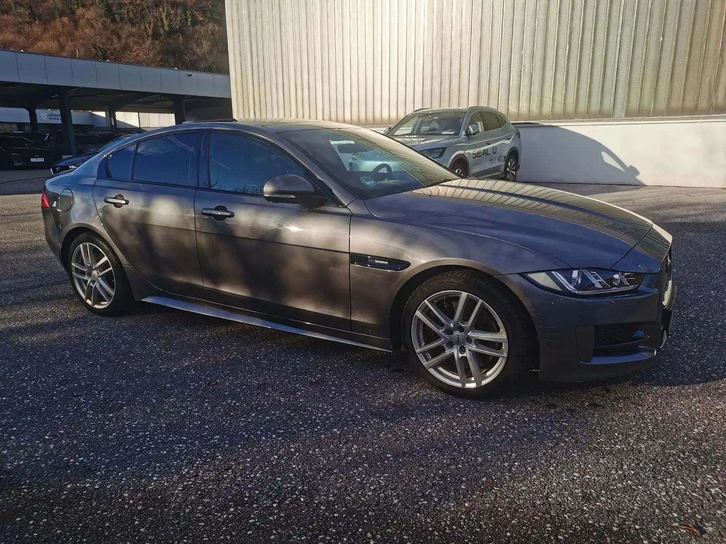 Jaguar XF Pure Grau - 2