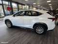 Lexus NX 300h 300h 2WD Business - thumbnail 3