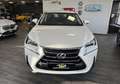 Lexus NX 300h 300h 2WD Business - thumbnail 4