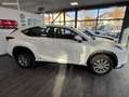 Lexus NX 300h 300h 2WD Business - thumbnail 2