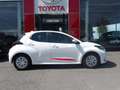 Toyota Yaris 116h Dynamic 5p MY22 Blanc - thumbnail 1