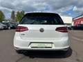 Volkswagen Golf VII Lim. GTE+PanDach+LED+WR+SITZHG+Dash Cam Biały - thumbnail 6