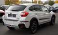 Subaru XV Exclusive PDC*Kam.*SHZ* Weiß - thumbnail 4