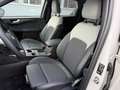 Ford Kuga 2,5 Duratec FHEV Sound Edition Aut. Weiß - thumbnail 10