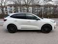 Ford Kuga 2,5 Duratec FHEV Sound Edition Aut. Weiß - thumbnail 3