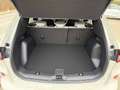 Ford Kuga 2,5 Duratec FHEV Sound Edition Aut. Weiß - thumbnail 6