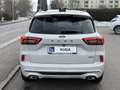 Ford Kuga 2,5 Duratec FHEV Sound Edition Aut. Weiß - thumbnail 5