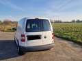 Volkswagen Caddy Caddy 1.9 TDI Weiß - thumbnail 4