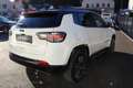 Jeep Compass 1.3 PHEV Limited 190 PS AT 4xe Weiß - thumbnail 4