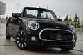 MINI Cooper Cabrio AUT / LED / NAVI / CRUISE / PDC / REMOTE SERVICES Schwarz - thumbnail 3