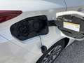 Toyota Prius Prius 1,8 VVT-i PHEV Lounge inkl Vip Paket Weiß - thumbnail 12