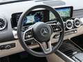 Mercedes-Benz EQB 250 Progressive/LED/Night/Kamera/Shz/Ambi/18 Grijs - thumbnail 9