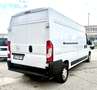 Fiat Ducato DUCATO OPEL MOVANO 2.3 MTJ 140CV L3H2 Weiß - thumbnail 8