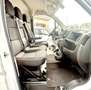Fiat Ducato DUCATO OPEL MOVANO 2.3 MTJ 140CV L3H2 Weiß - thumbnail 10
