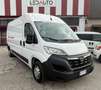 Fiat Ducato DUCATO OPEL MOVANO 2.3 MTJ 140CV L3H2 Weiß - thumbnail 1