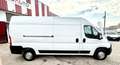 Fiat Ducato DUCATO OPEL MOVANO 2.3 MTJ 140CV L3H2 Weiß - thumbnail 4
