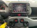 Fiat New Panda 1.0 70 hybrid Cross 5P. RADIO APP. PREZZO REALE Gri - thumbnail 11
