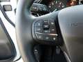 Ford Puma 1.0 EcoBoost MHEV TITANIUM iACC,Kamera,Navi Weiß - thumbnail 12
