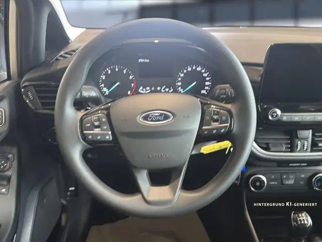 Ford Fiesta view 15