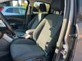Ford C-Max Champions Edition Zahnriemen neu LM Felgen Braun - thumbnail 11