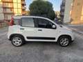 Fiat Panda Panda III 2021 1.0 firefly hybrid s Blanc - thumbnail 5