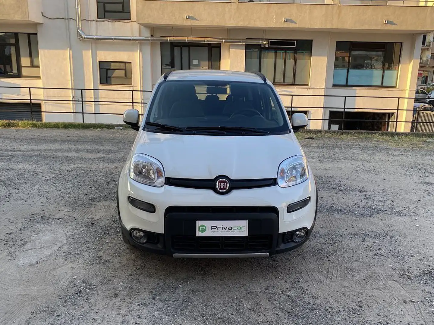 Fiat Panda Panda III 2021 1.0 firefly hybrid s Bianco - 2